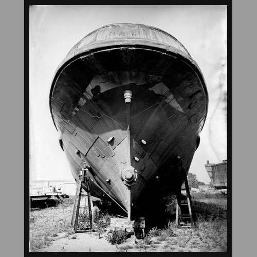 Tin Type